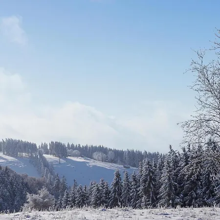 Prázdninový dům Ferienhauspark *