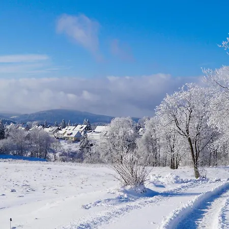 Ferienhauspark Hasselfelde